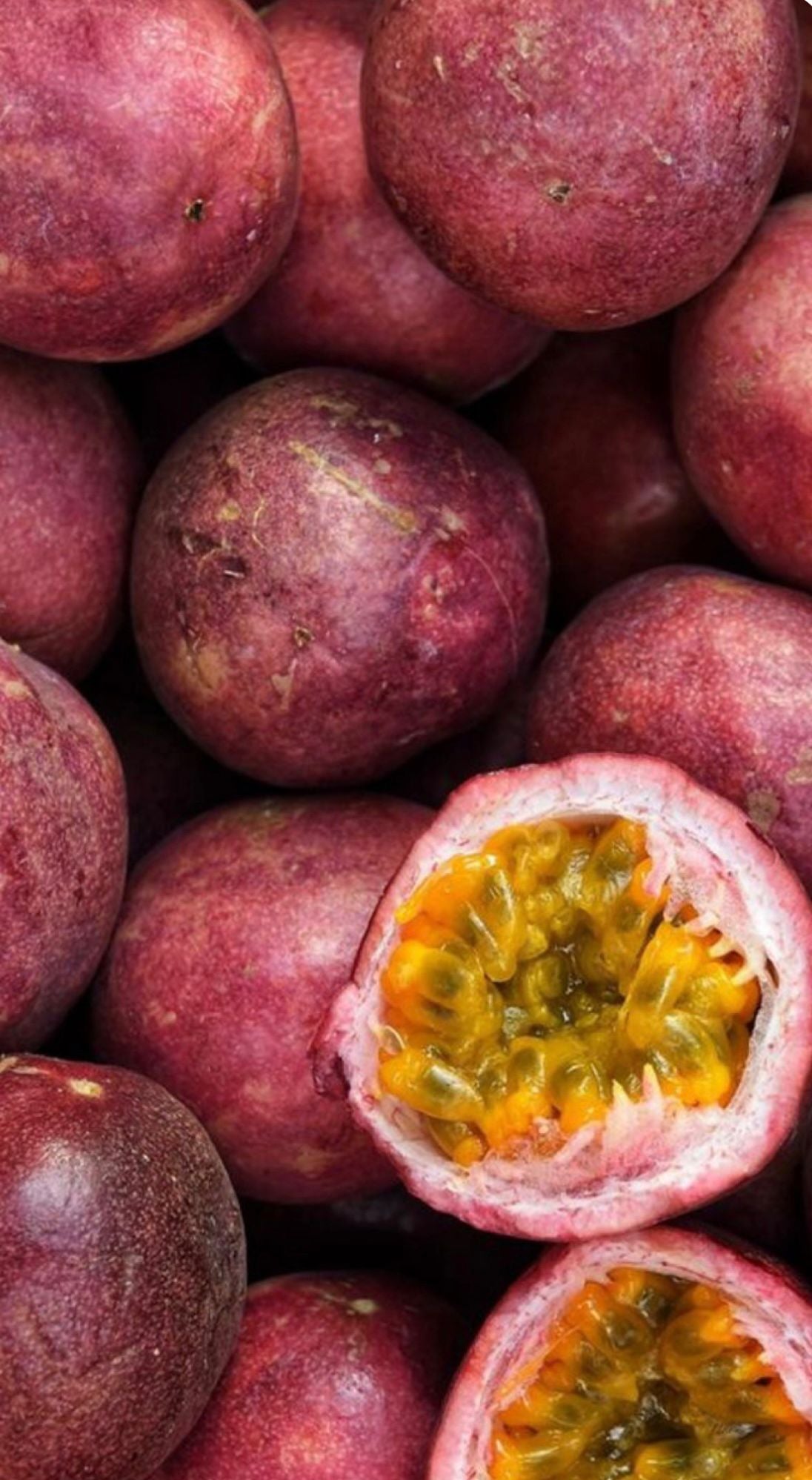 FRUIT DE LA PASSION