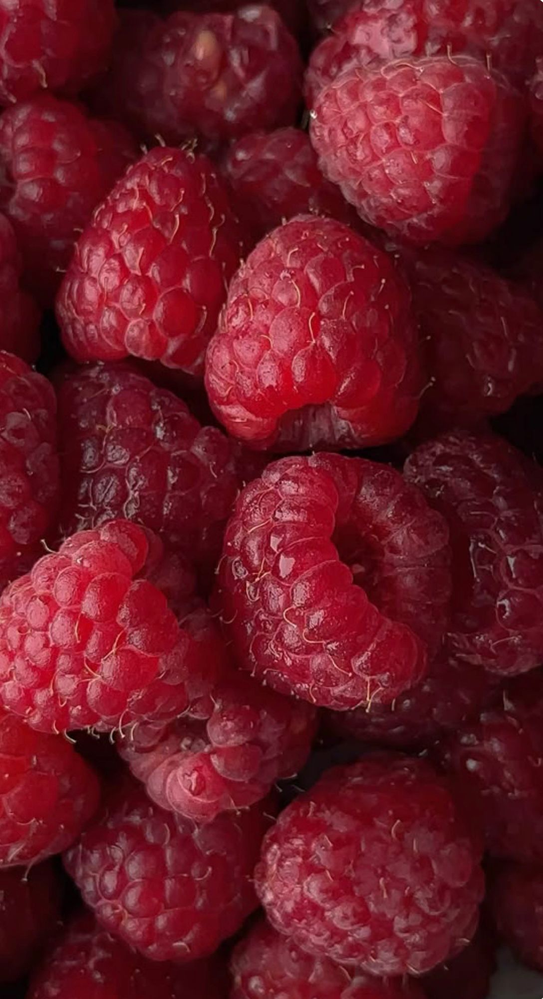 FRAMBOISE